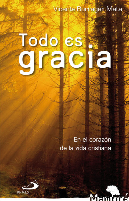 Vicente Borragán Mata Todo es gracia: En el corazón de la vida cristiana