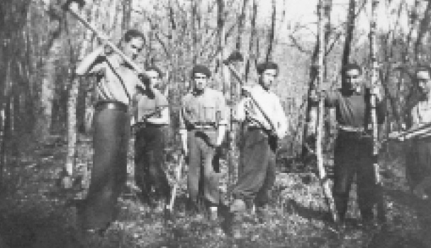 Comunistas españoles que trabajaban en plena Segunda Guerra Mundial en la tala - photo 7