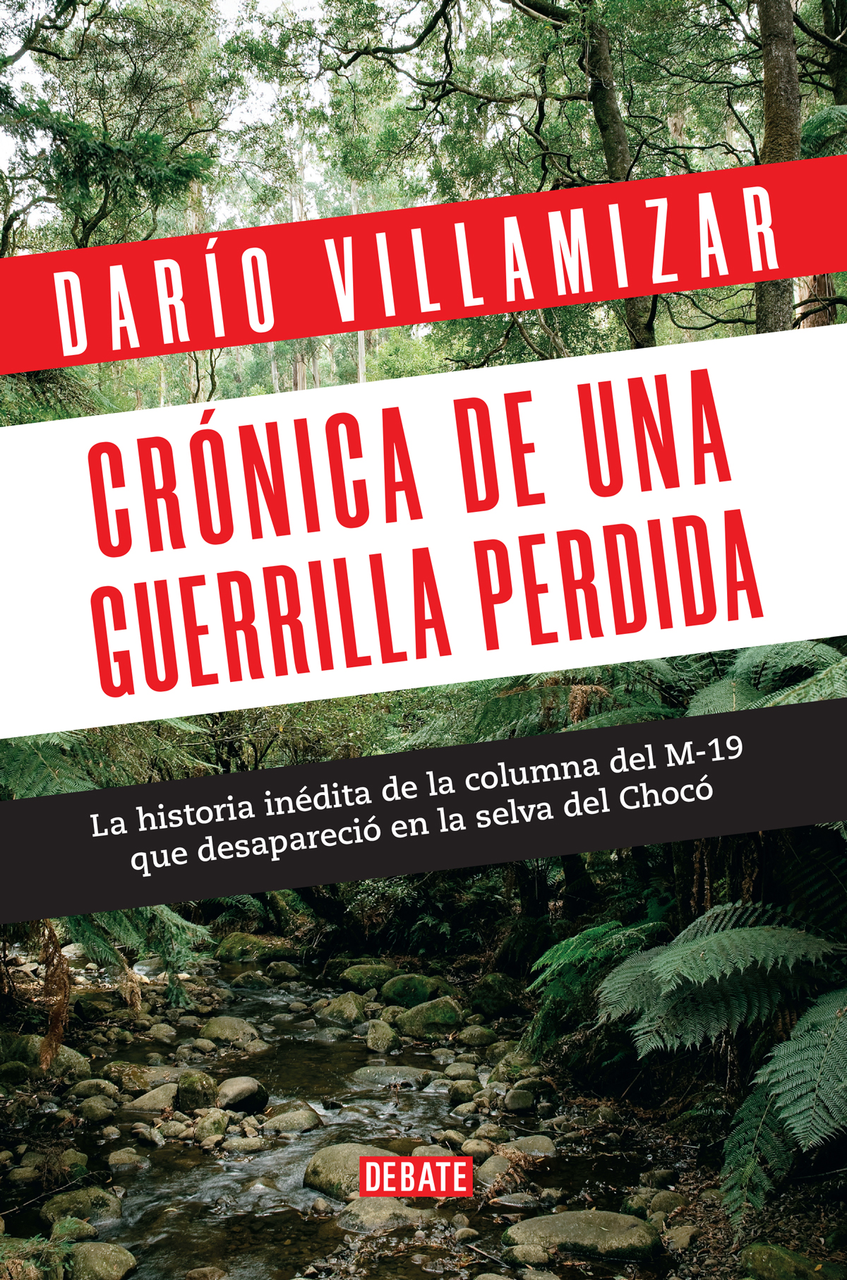 La historia de esa columna en el Chocó aún sigue cubierta por todo ese espesor - photo 1