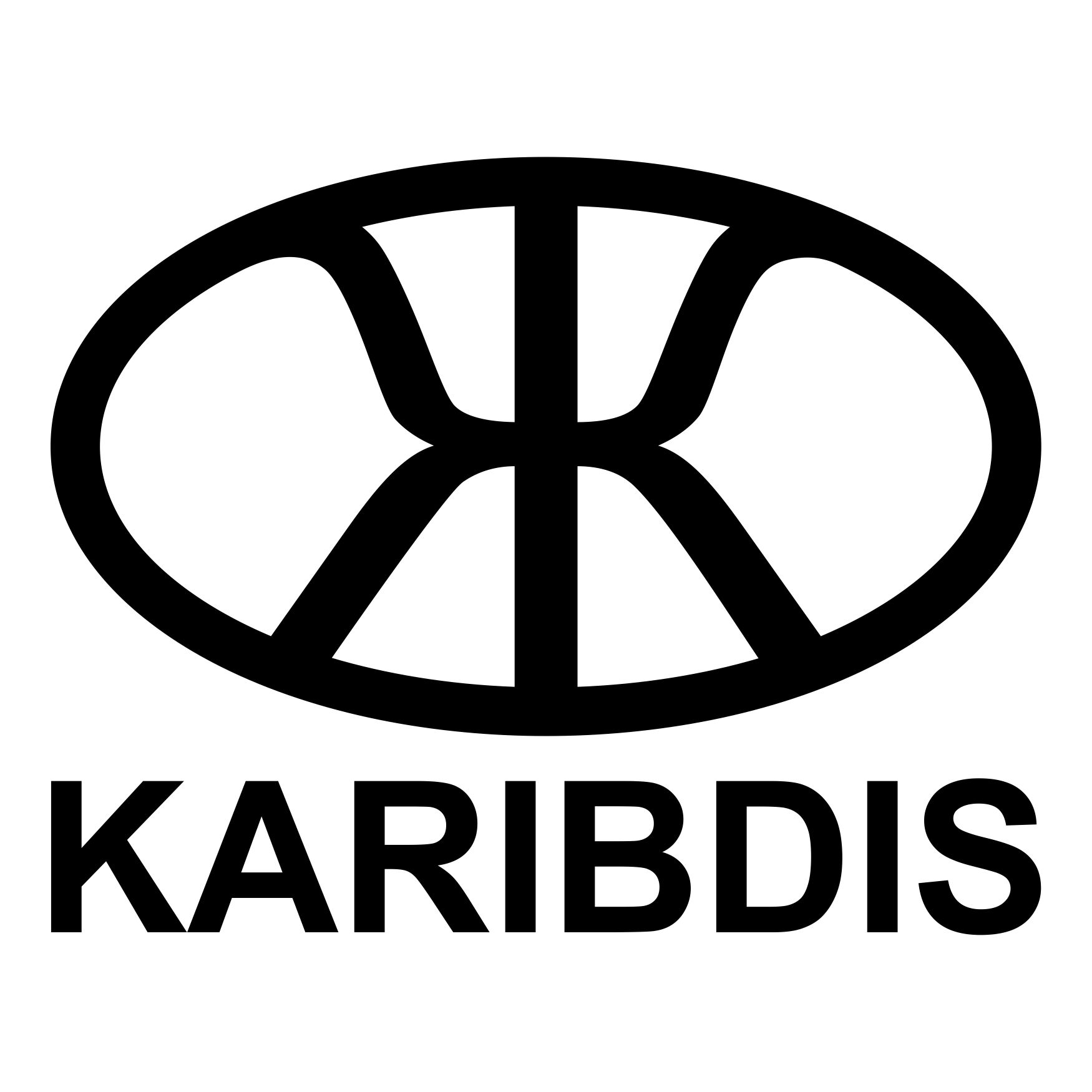 Editorial Karibdis Verbos rusos Colección 100 verbos - Volumen 9 Primera - photo 2