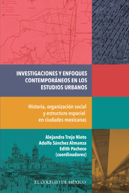 Alejandra Trejo Nieto - Investigaciones y enfoques contemporáneos en los estudios urbanos.: Historia, organización social y estructura espacial en ciudades mexicanas