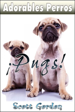 Scott Gordon Adorables Perros: Los Pugs