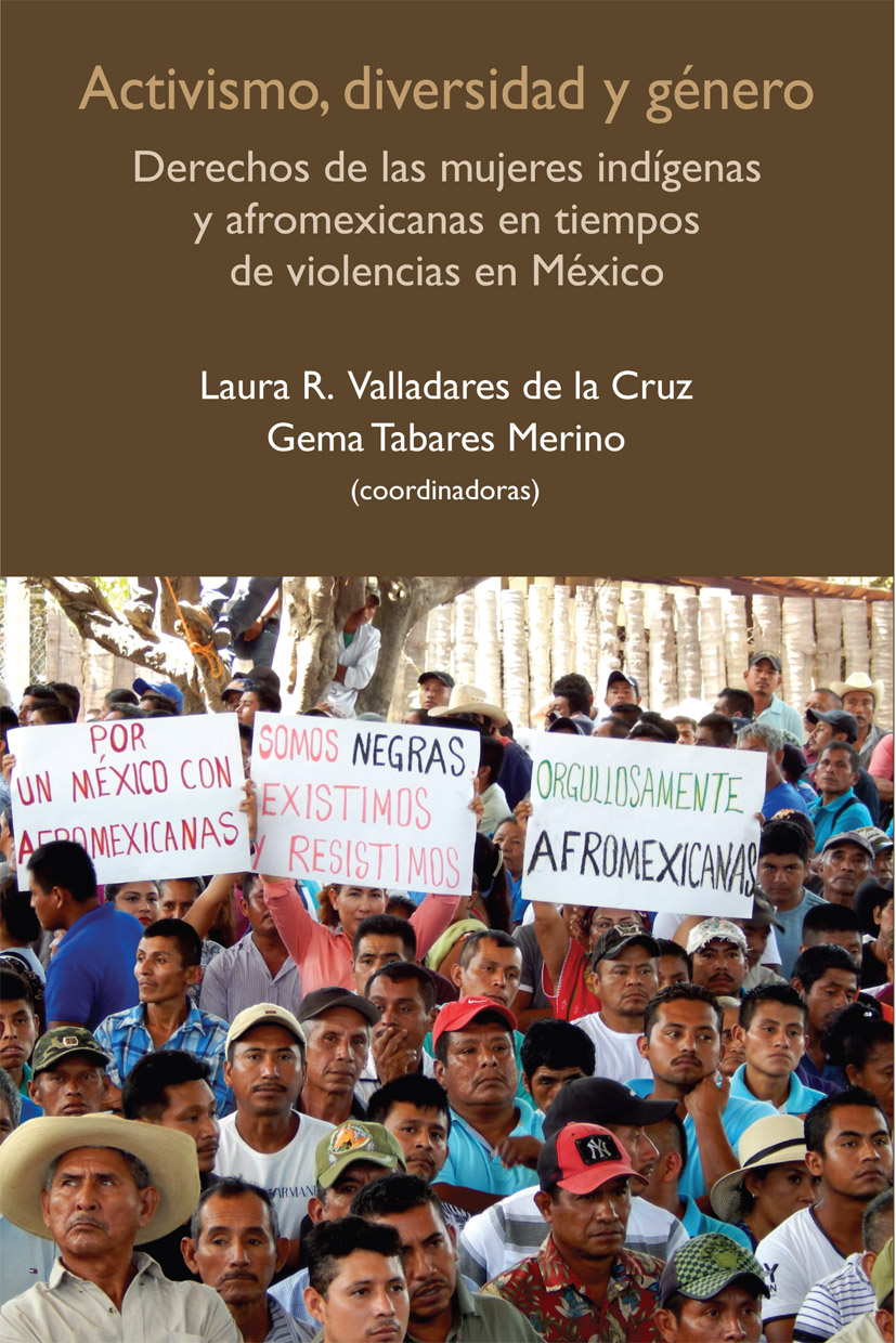 Activismo diversidad y género Derechos de las mujeres indígenas y afromexicanas en tiempos de violencias en México - image 1