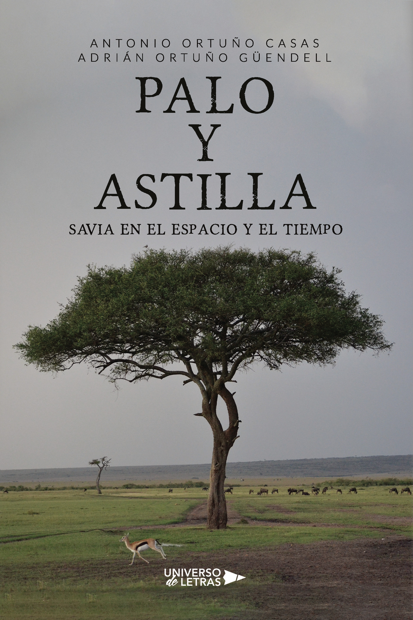 PALO y ASTILLA Savia en el espacio y el tiempo Antonio Ortuño Casas Adrián - photo 1