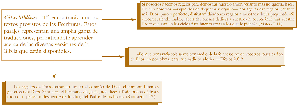 Bueno sí Supongo que se podría decir que vimos las Rocosas Pero quién haría - photo 5