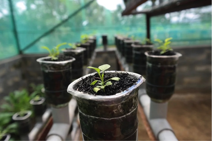 L a hidroponía es uno de los métodos de cultivo de plantas sin tierra siendo - photo 1