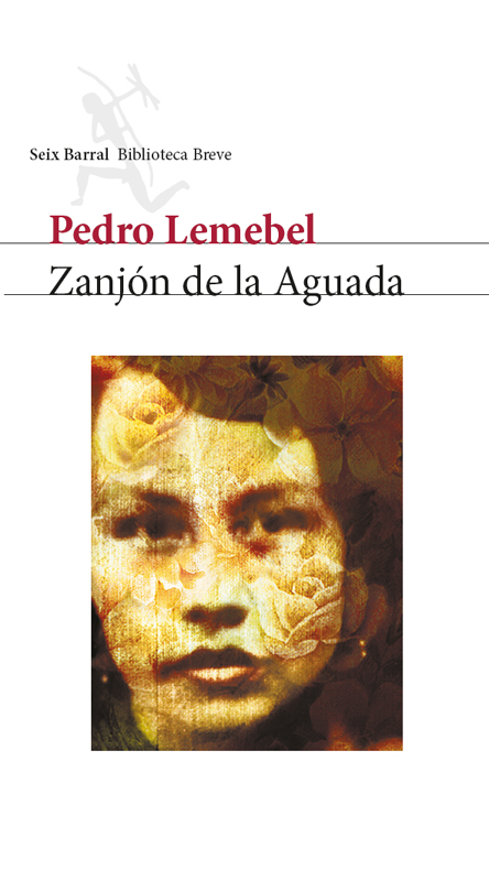 BIBLIOTECA PEDRO LEMEBEL Pedro Lemebel 1952-2 - photo 1