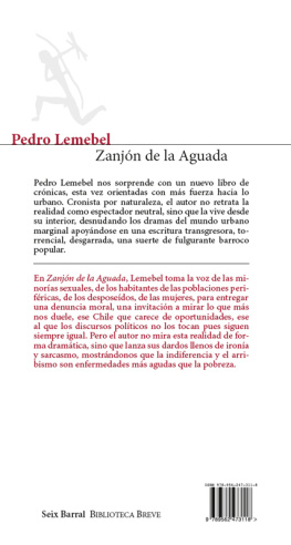 Pedro Lemebel - Zanjón de la Aguada