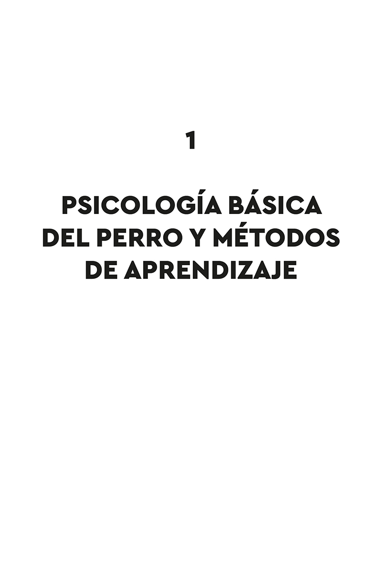 11 Expectativas distorsionadas Adiestrar o educar a un perro es un proceso - photo 3