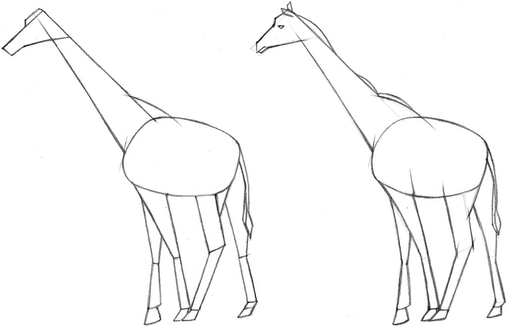 El cuerpo se inserta en un óvalo horizontal la cabeza y el cuello forman 2 - photo 2