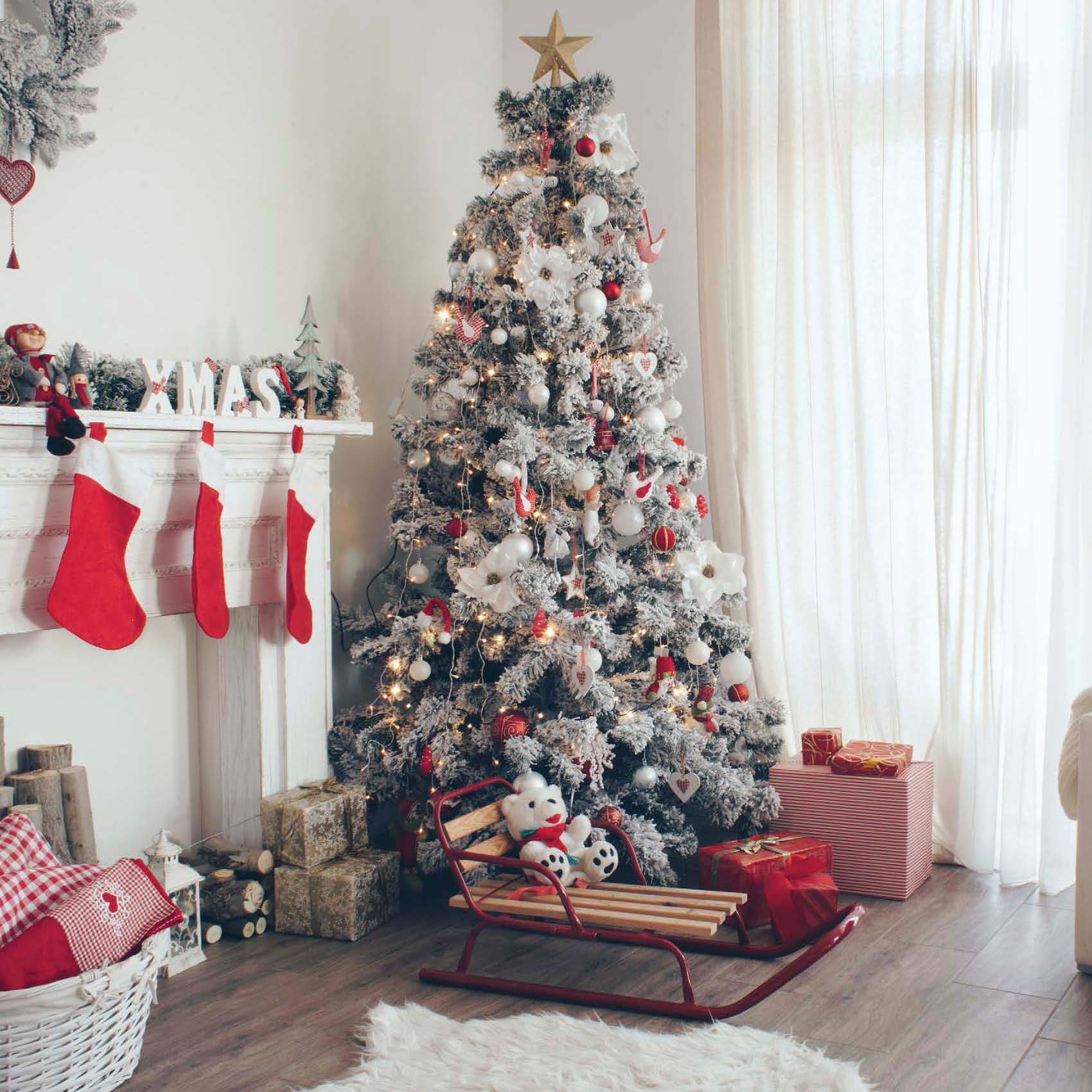 DE ALEMANIA Y MÁS ALLÁ Se cree que los primeros árboles de Navidad tuvieron su - photo 6