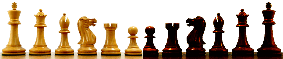 Comenzamos con el nivel superior Aprende ajedrez y diviértete NIVEL SUPERIOR - photo 5
