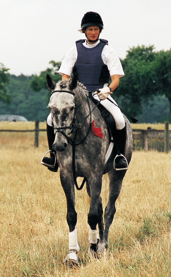 Tanto el jinete como el caballo disponen del equipo adecuado para el salto El - photo 4