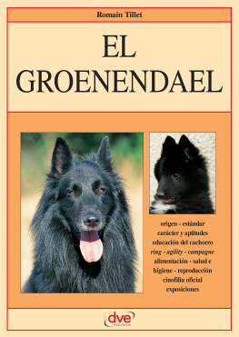 Romain Tillet El Groenendael