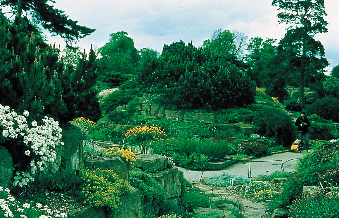 Muchos jardines de rocalla de estilo inglés están inspirados en los jardines - photo 7