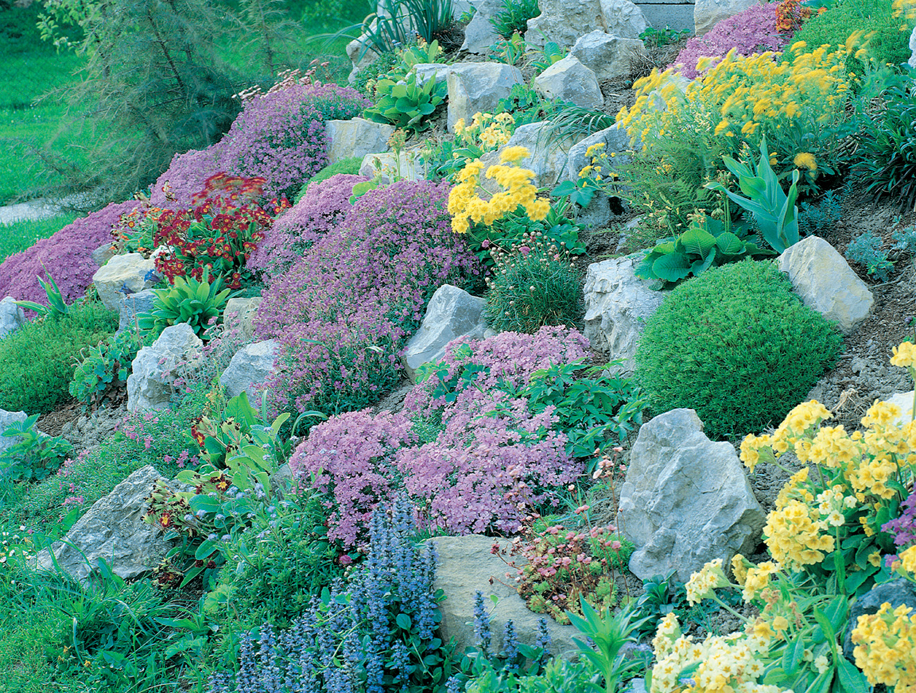 En este jardín de rocalla de estilo inglés es evidente la variedad de especies - photo 8