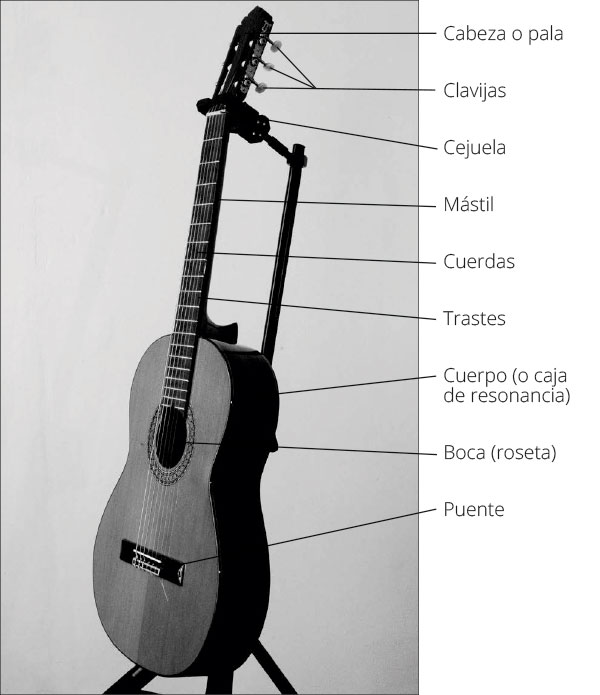 FIGURA 15 Anatomía de una guitarra clásica En esta bella guitarra clásica - photo 5