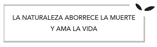 La vida quiere vivir a toda costa y por eso a veces podemos encontrarnos con - photo 3