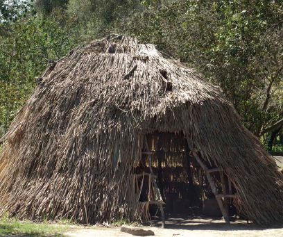 Muchas tribus nativas incluyendo los salina hacían casas en forma de domo con - photo 5