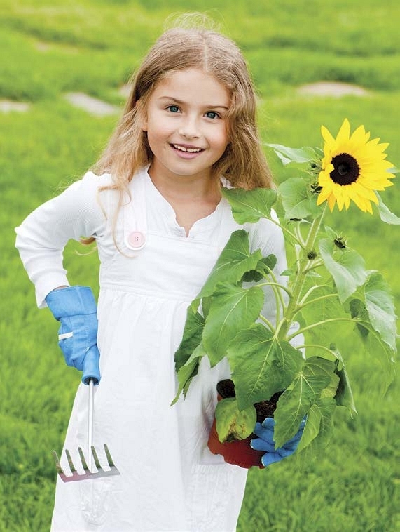 Idea de negocio Plantar girasoles en macetas para venderlos - photo 5