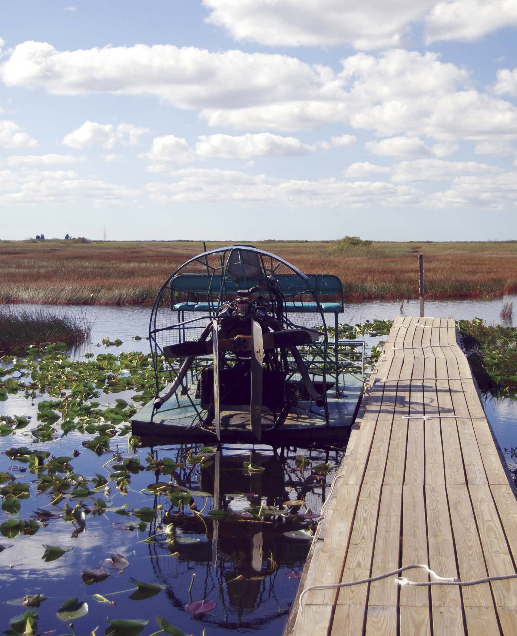 El parque nacional Everglades se estableció en 1934 y preserva 15 millones de - photo 10