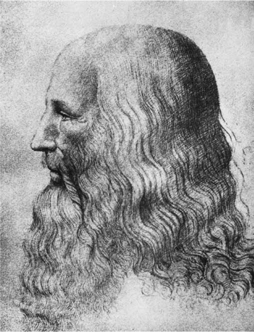 Por qué Leonardo da Vinci Porque el maestro italiano fue un experto en - photo 6