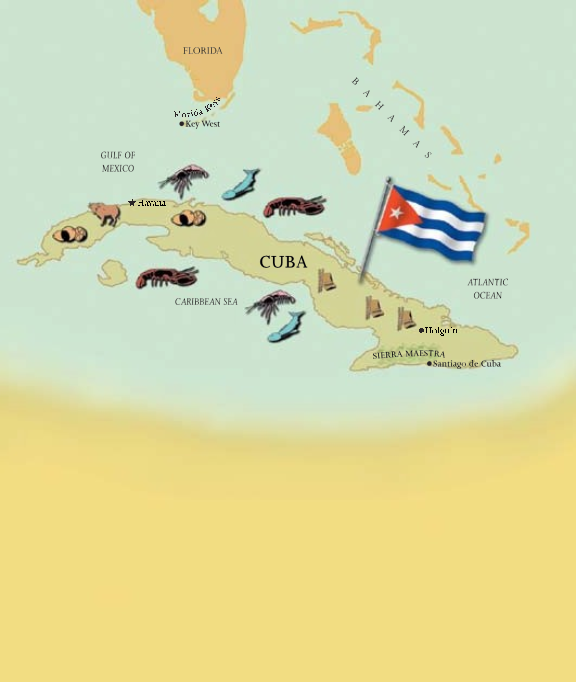 L a tierra y la gente El territorio de Cuba cubre menos de - photo 14