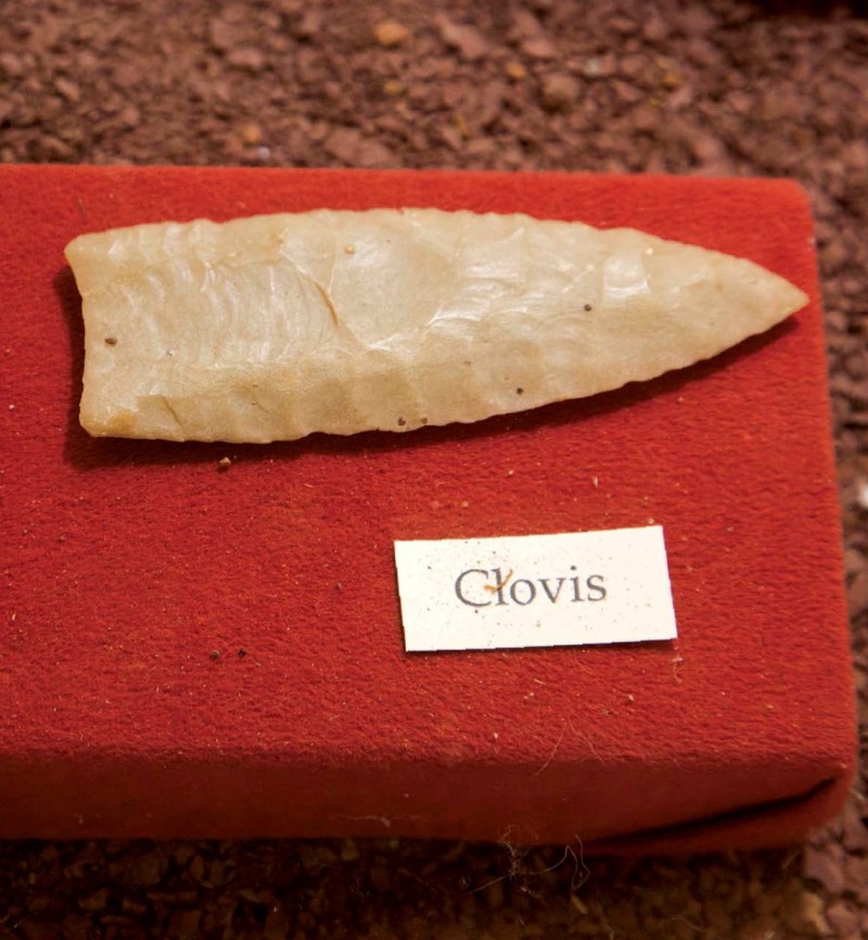 Las puntas Clovis estaban hechas de piedras o rocas tales como jaspe chert y - photo 4