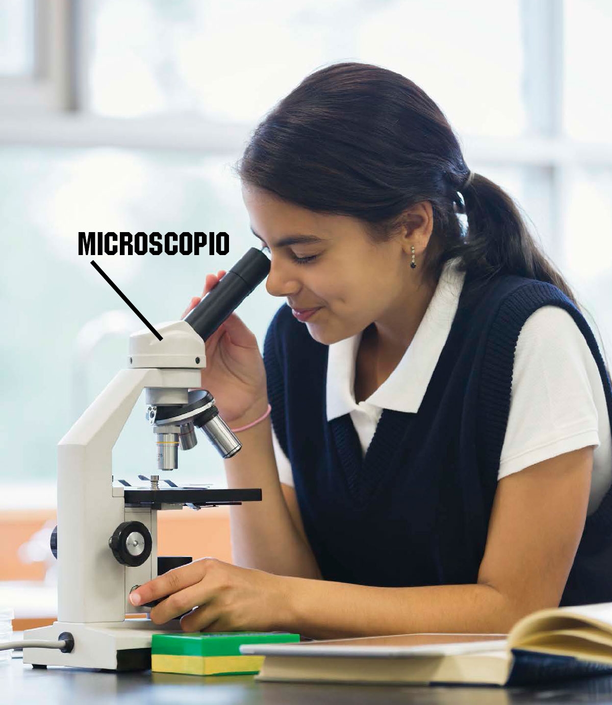 SI QUIERES SABER MÁS Las bacterias son tan pequeñas que para estudiarlas los - photo 2