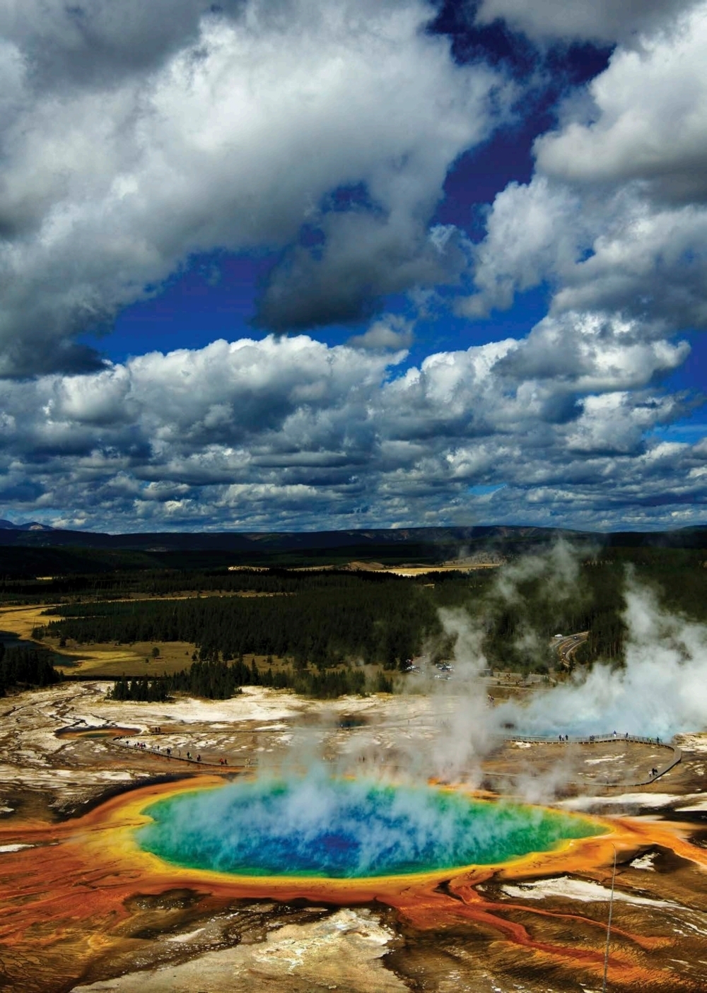 SI QUIERES SABER MÁS Las árqueas metanógenas viven en lugares donde el - photo 6