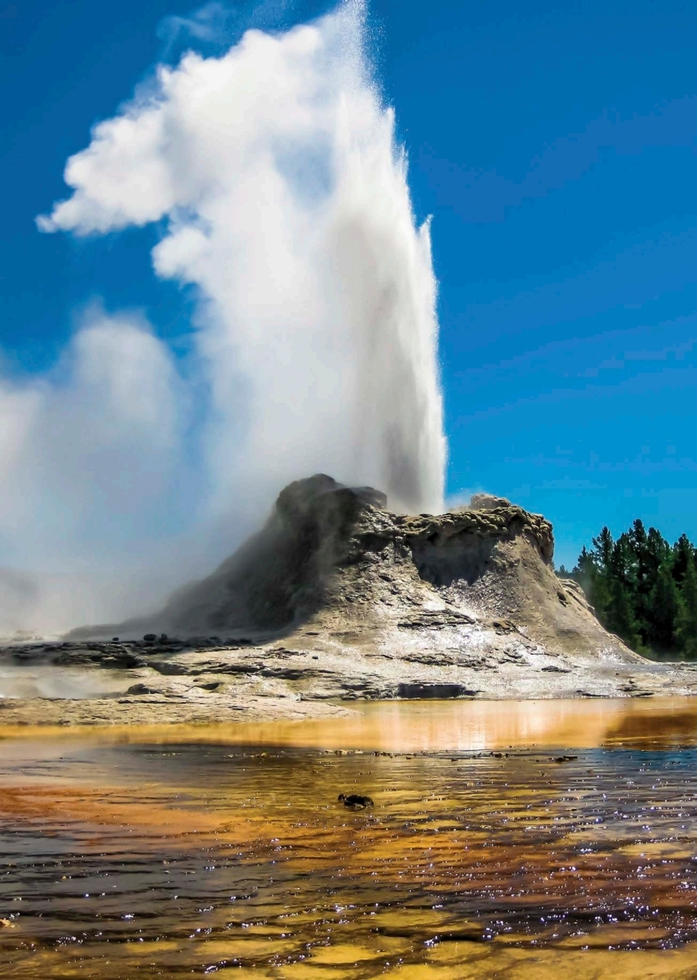 SI QUIERES SABER MÁS Las aguas del Parque Nacional de Yellowstone albergan - photo 9