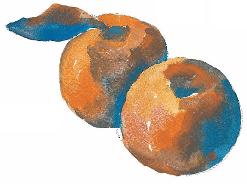 El tono de sombra de dos frutas anaranjadas se halla mezclando naranja con - photo 10