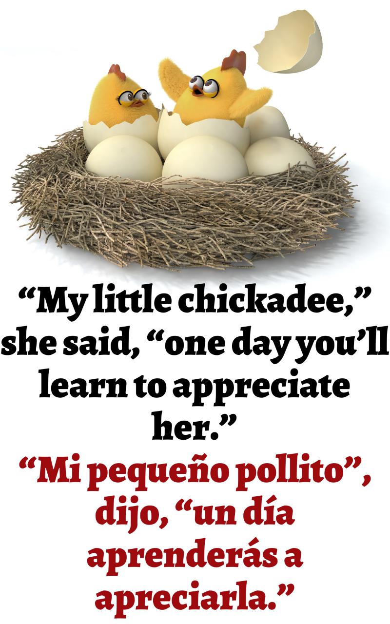 El Pequeño Pollito Special Bilingual Edition - photo 12