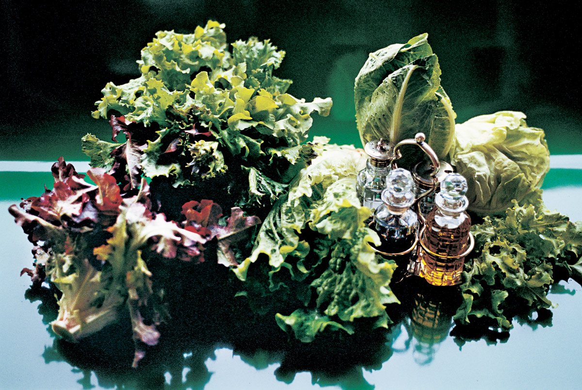 Diversas subespecies de lechugas Como todas las verduras de ensalada la - photo 7