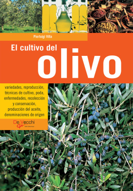 Pierluigi Villa El cultivo del olivo
