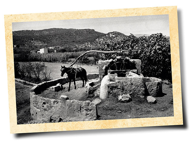 Estampa rural Edouard BoubatGamma-RaphoGetty Images Uno de los - photo 4