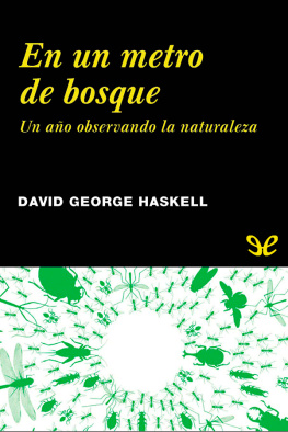 David George Haskell En un metro de bosque