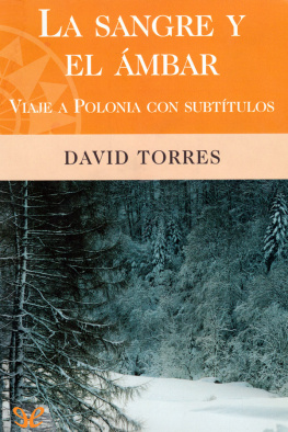 David Torres - La sangre y el ámbar