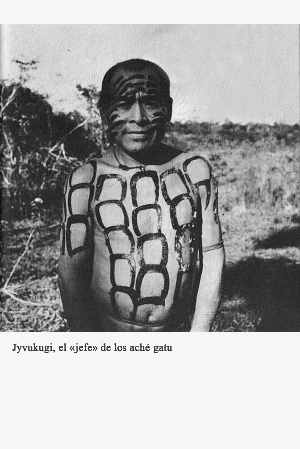 Crónica de los indios guayaquis - photo 17