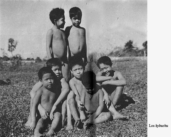 Imágenes Título original Chronique des indiens Guayaki ce que savent les - photo 24