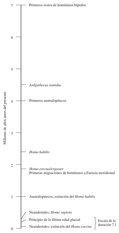 DURACIÓN 61 Escala de la evolución humana 7 millones de años DURACIÓN - photo 2