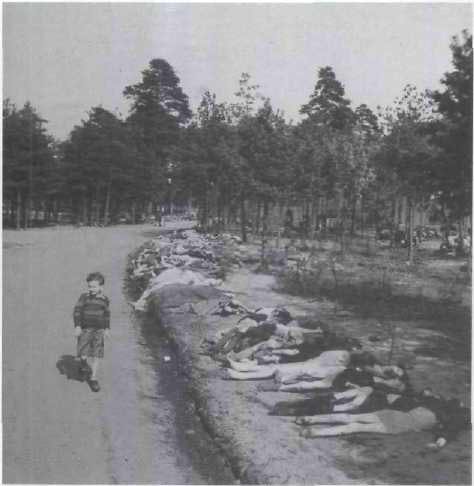Poco después de la derrota de Alemania en 1945 un niño camina junto a los - photo 1