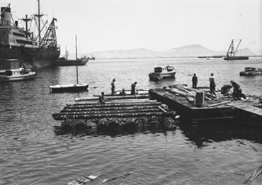 Llegada de los troncos a la Estación Naval Construcción de la Kon-Tiki - photo 14