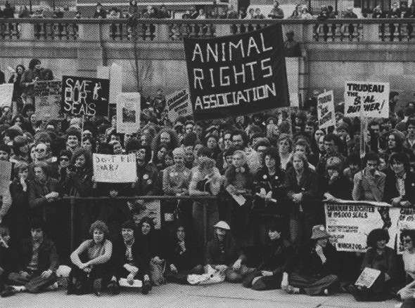 Manifestación por los derechos de los animales 1 de marzo de 1978 Londres A - photo 4