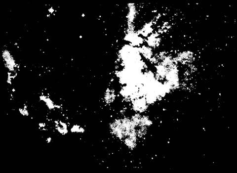 Estrellas y nebulosa de gases En la imagen reciente la Nebulosa Tarantula es - photo 11