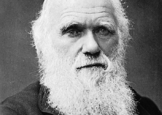 Charles Darwin autor de El Origen de las Especies que estableció la idea de - photo 1