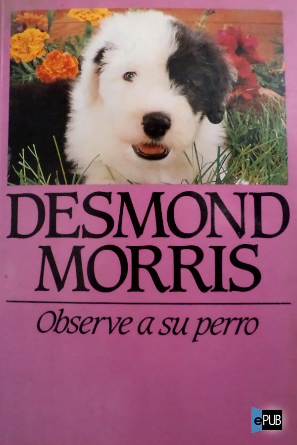 Título original Dogwatching Desmond Morris 1986 Traducción Lorenzo Cortina - photo 2