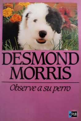 Morris - Observe a su perro