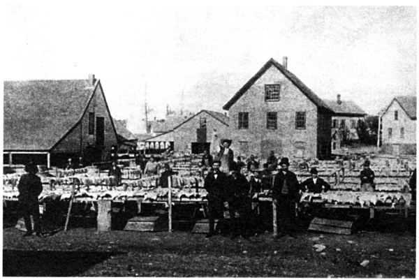 Establecimiento de curado de pescado de George Dennis hacia 1900 al este de - photo 8