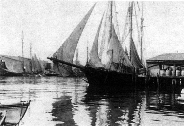 Goletas en el puerto de Gloucester a principios del siglo XX Museo Peabody - photo 19